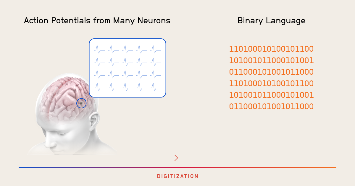 Digitization of action potentials into binary language to be passed onto computerized system.